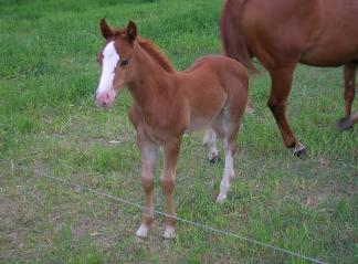 Owned by Brittney Jhuler Minimal white regular registry