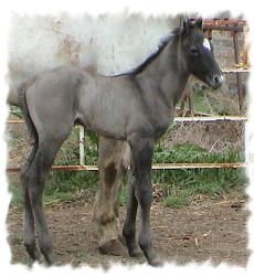 Owned by Amy Goemble